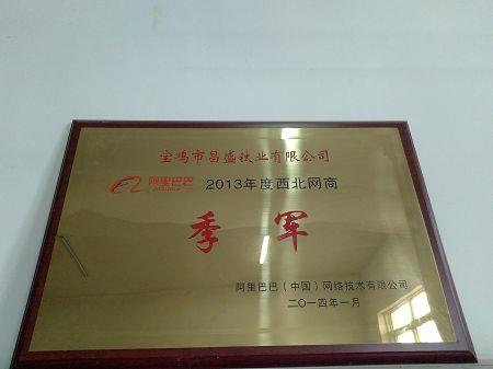 2013阿里巴巴季军(001)